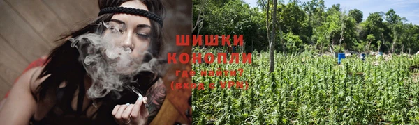 трава Ростов