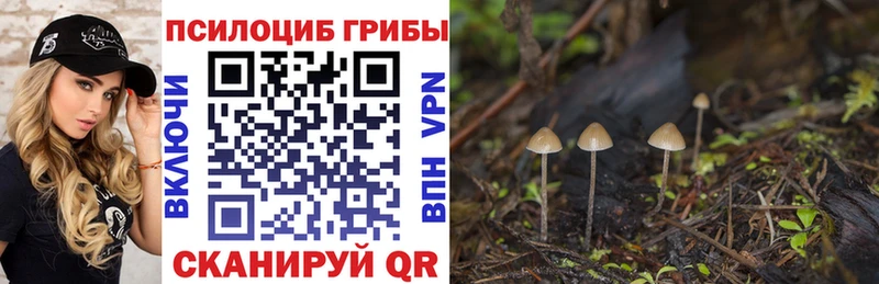 Галлюциногенные грибы мицелий  наркота  Можга 