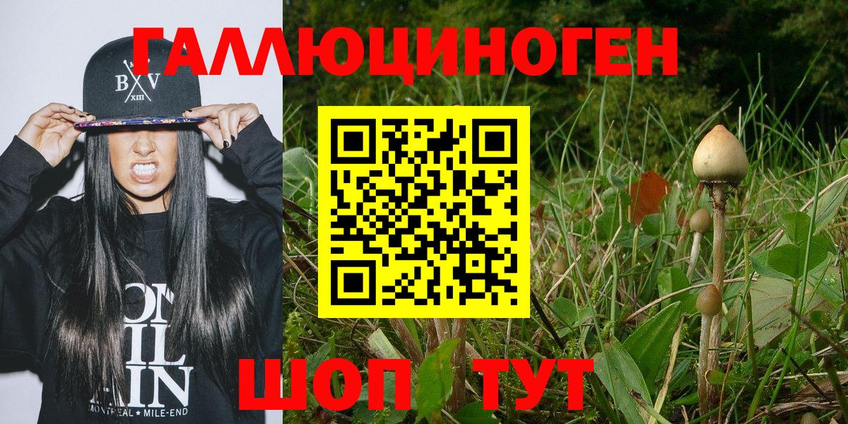 Галлюциногенные грибы прущие грибы  Вход с VPN  Галлюциногенные грибы Cubensis  Можга 