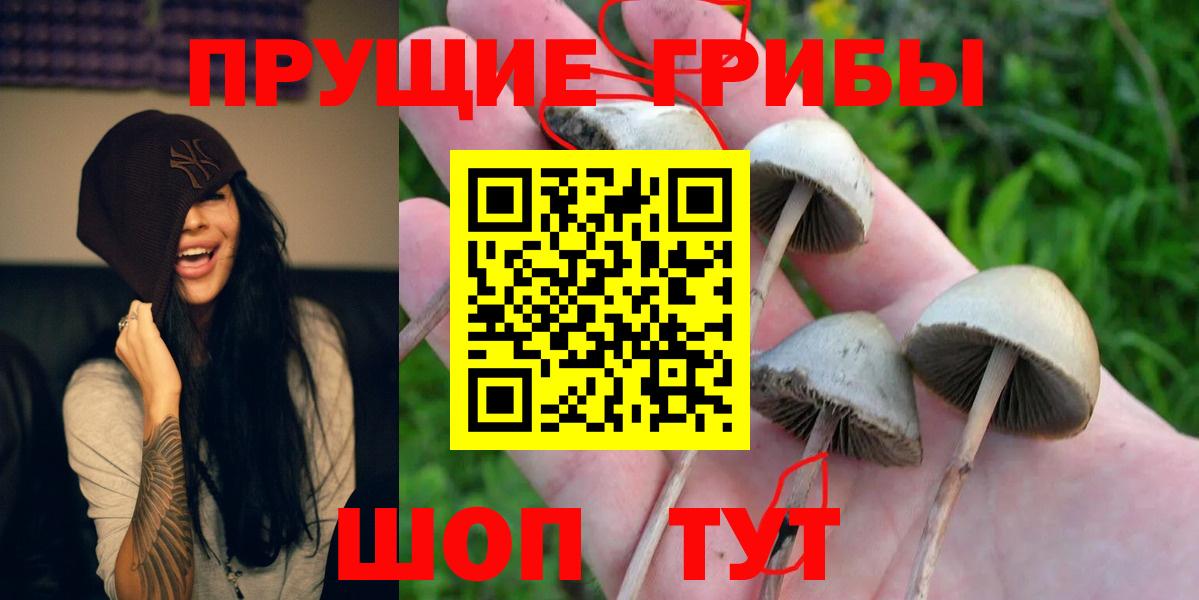 Галлюциногенные грибы ЛСД Можга